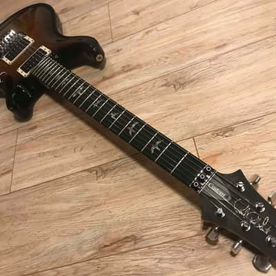 PRS Custom 24 Floyd Artist image 8