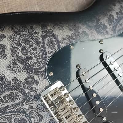 MyDream Stratocaster Custom Built - Black Paisley Flamed SRV image 8