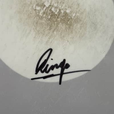 Ringo Starr's Stage Played and Signed 14" Remo Snare Drum Head. Authenticated! image 1
