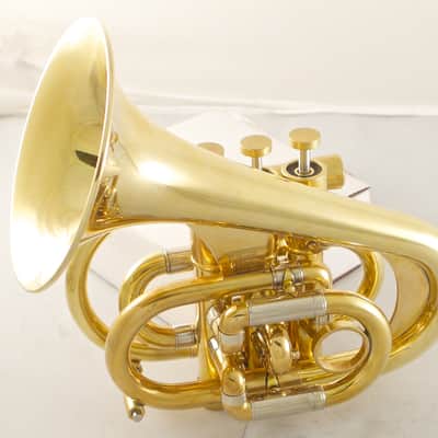 Brasspire Pocket Trumpet P7: Maybe the best pocket trumpet out there? image 8
