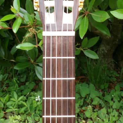 Yairi YC-50E Electric Classical Guitar+Original Yairi Hard Case FREE image 5