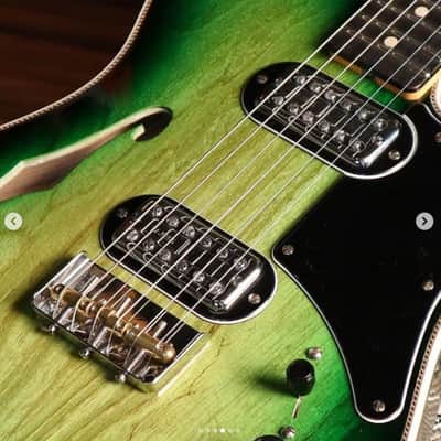 Fender Custom Shop Ron Thorn Masterbuilt Thinline Tele Greenburst ~ R108167 image 2