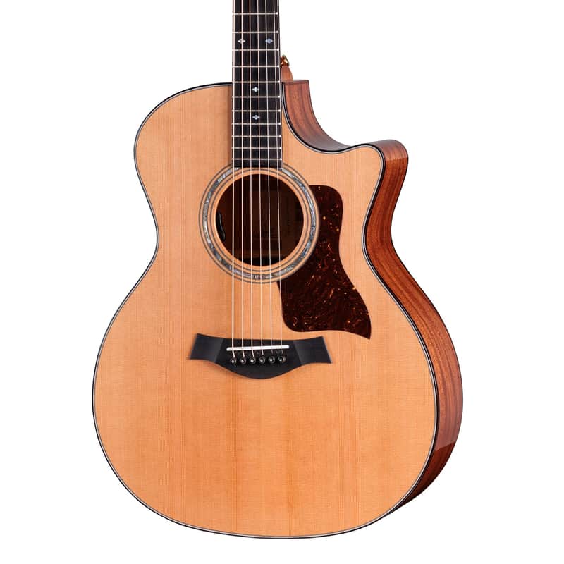 Immagine Taylor Legacy 514ce - 1