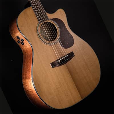 Cort Gold-A6 w/Gigbag (B Stock) image 2