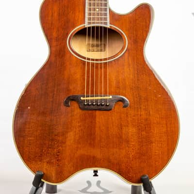 Daion The Year Series '81 Caribou - Brown (BR) - Electric Acoustic Six String image 3