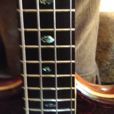 Alembic 4 String Mark King Deluxe 2002 high gloss polyester coco bolo/dark reddish brown image 4