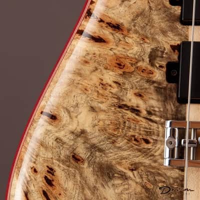 2015 Alembic Further FLG6, Purpleheart/Buckeye image 16
