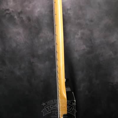 Fender Mexico 1969 Telecaster Thinline image 10