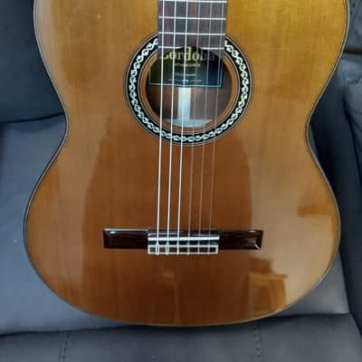 Cordoba C-9 Crossover Cedar top (98) W/matching Case & Free shipping image 3