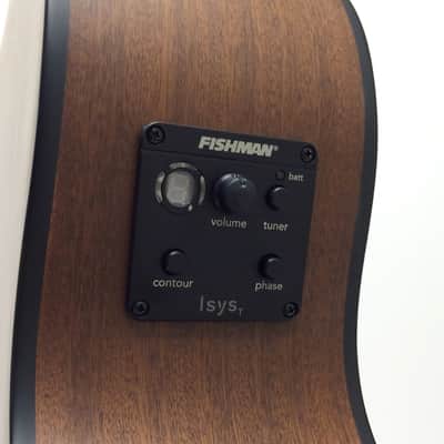 James Neligan Deveron Series DEV-ACFI Grand Auditorium Acoustic-Electric Guitar image 5