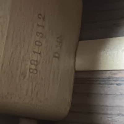 Washburn D14N Acoustic Guitar with Spruce Top & Rosewood Back and Sides (Washburn D-14N Model) 1988 image 16