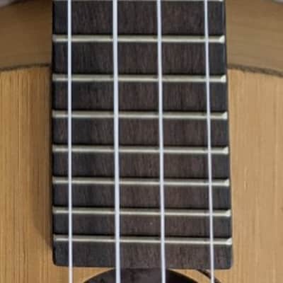 Luna Uke Bamboo Series Concert Size Acoustic Ukulele with Gig Bag image 7