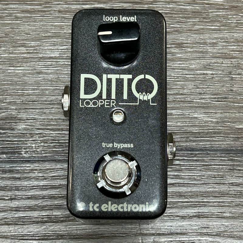 TC Electronic Ditto Looper 2013 - Present - Black image 1