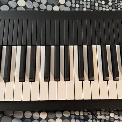 Expressive E Osmose 49-Key 24-Voice Polyphonic Synthesizer (pristine, including cloth cover) image 4