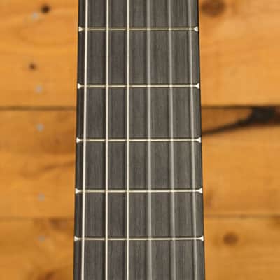 Ibanez AUP10N AU Series Piccolo Acoustic - Purpleheart - Open Pore Natural image 6