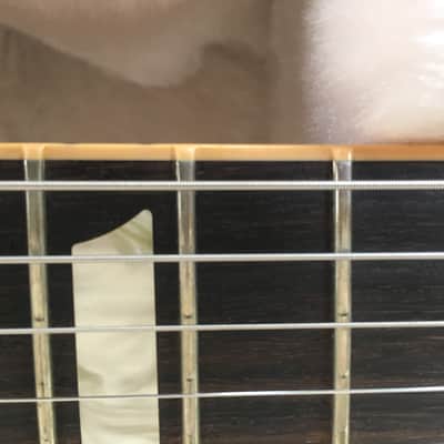 Gibson Les Paul Standard Double Cutaway 24 Frets w/ Lollar Low Wind Imperials image 11