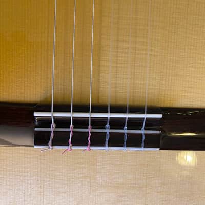 2022 Yulong Guo Hauser model / Spruce Top + HumiCase image 10
