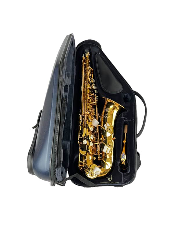 Selmer Paris Supreme 92DL Gold Lacquer Alto Saxophone BRAND NEW READY TO SHIP! image 1