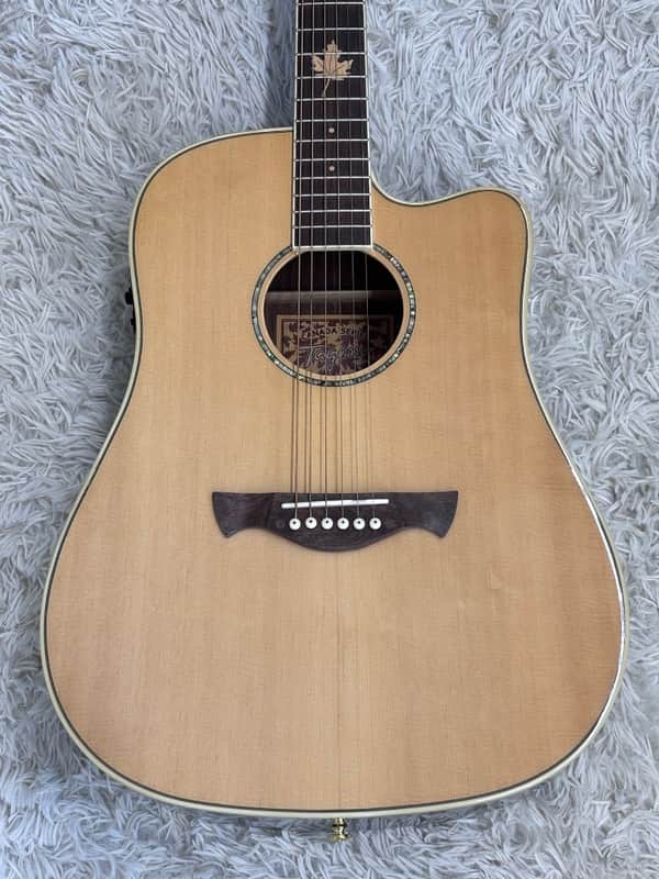 Tagima Canada Series Vancouver acoustic-electric guitar Model Vancouver-EQ-NA image 1