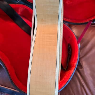 Fender D'Aquisto Elite 1985-87 - Natural image 14