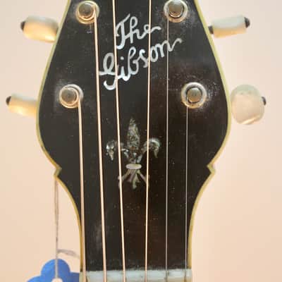 Gibson GB-4 Banjitar 20's image 3
