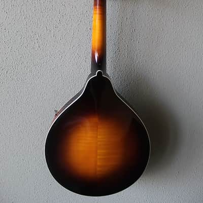 Brand New Kentucky KM-250 A-Style Mandolin with Gig Bag image 5