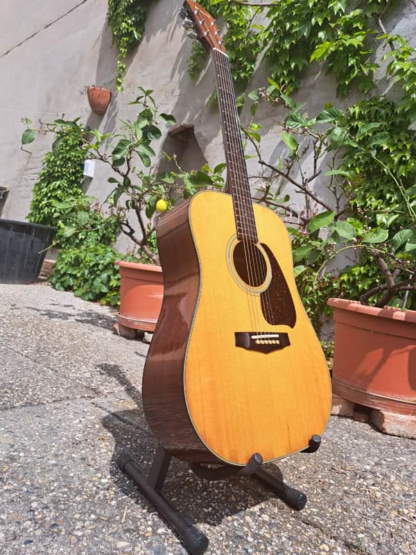 Ibanez V300 1981 - Natural image 1