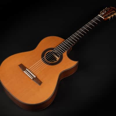 2018 Hanika Fusion PC - Natural | Made in Germany Professional Line Masterbuilt Classical Guitar Cedar Rosewood 50mm Nut Cutaway | CoA OHSC image 5
