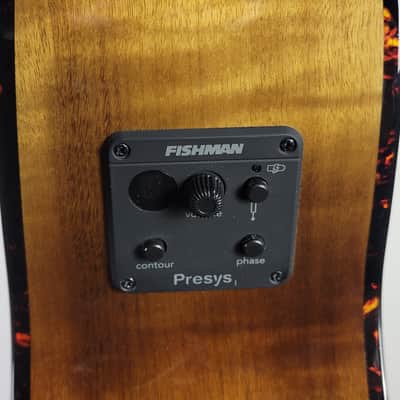 Breedlove Pursuit Exotic S Concerto Bass CE 2021 - Present - Amber Burst image 13