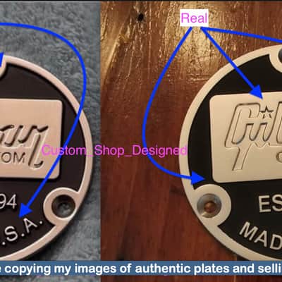 Authentic Gibson Les Paul Toggle cover plate image 3