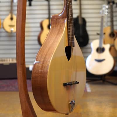 Gold Tone BZ-500 Irish Bouzouki Mandolin w/Hard Case image 2