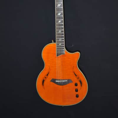 Giannini Nashlyn-A Amber image 1