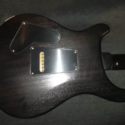 Paul Reed Smith Mahogany Standard 24 With Birds 2007 Satin Brown image 5