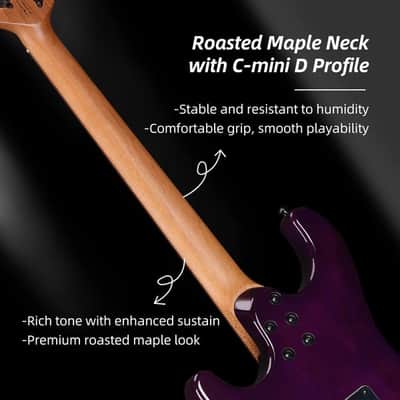 WINZZ Gravity PRO Series -WGS150 Solid Alder Body ST electric guitar With Roasted Maple Neck, HSS Pickups, Rosewood Fingerboard, D'Addario EXL120 Strings, Mini Double Locking Tremolo - Blue image 4