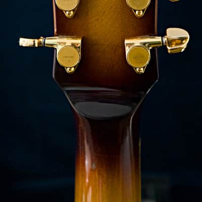 1979 Greco SW-1200 Vintage MIJ Jazz Guitar Sunburst w/ Hard Case image 11