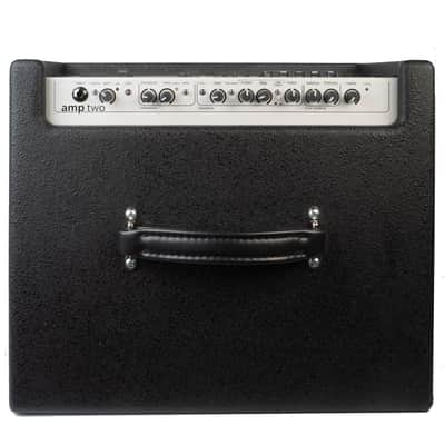 AER Amp Two | 240W 12" +8" Bass Combo. New with Full Warranty! image 2