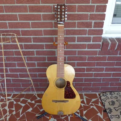1960's Jackson Guldan Cittern - 10 Strings in B Tuning - Fifths Tuning image 2