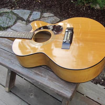 Harptone S-6NC Sultan guitar Sam Koontz vintage 1960s 1970s Vintage arched back cutaway image 11