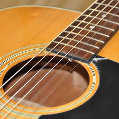 1987 Washburn D12N Dreadnought Acoustic Guitar D-12/N - Made In Korea - Free World Shipping! image 5