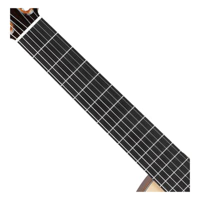 Ibanez GA3007CE 7-String A/E Nylon String Guitar w/Case - Natural High Gloss image 3