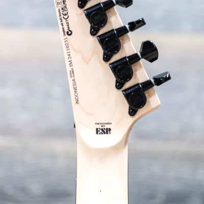 ESP LTD KH-202 LH Kirk Hammett Signature Skull-and-Bones Inlays Black Electric Guitar image 6