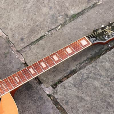 ♫ Vintage + Super Cool Top Line Eko (Rare Blondy!) c.1974 Pro Refurb♫ image 2
