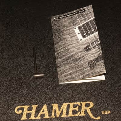 Hamer Standard 1997 Natural Finish Explorer w/OHSC Rare find! image 21