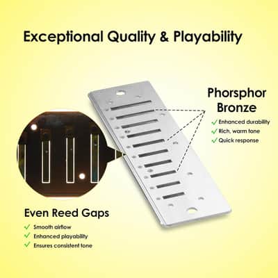 Harmonica of B flat Key,Blues Mouth Organ 10 Hole 20 Tones, Reed of Phosphor Bronze, ABS Combo, Easy-Clean Cover,10 Hole Blues Harp for Adult, Beginner image 3