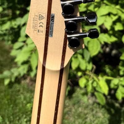 Ibanez RGD2127Z 7-String (MIJ) – EMG 81X/60X Upgrades – Great Condition image 6
