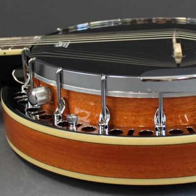 Epiphone Stagebird 6 String Electric Banjo image 3