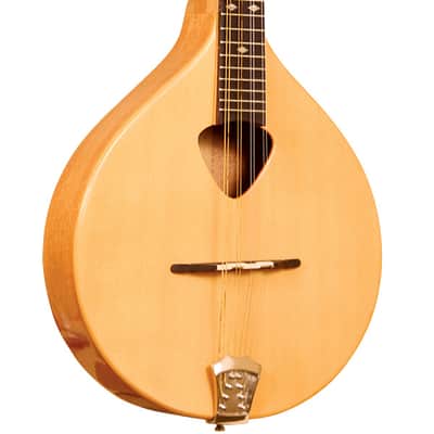 Gold Tone Mandola w/ Bag image 1