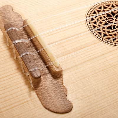Folk Instruments Soprano Lute Ukulele with Bag image 5
