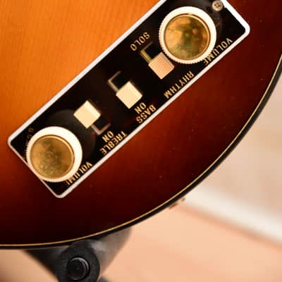Höfner Club 50 – 2010 Limited Thomas Stühlein Hollowbody Guitar | made in Germany image 5