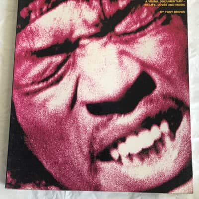 Jimi Hendrix A Visial Documentary - His Life, Loves and Music by Tony Brown Book image 1